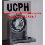 GỐI ĐỠ-VÒNG BI-BẠC ĐẠN-UCPH201-UCPH202-UCPH203-UCPH204-UCPH205-UCPH206-UCPH207-UCPH208-UCPH209-UCPH210-PH201-PH202-PH203-PH204-PH205-PH206-PH207-PH208-PH209-PH210-JIB-NTN-ASAHI-FYH-FBJ-PBC-LK-NET-PBC-MSB-NHẬT-HÀN QUỐC-KOREA-TRUNG QUỐC-GIÁ RẺ